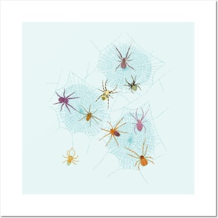 Colorful Spiders on Webs Posters and Art